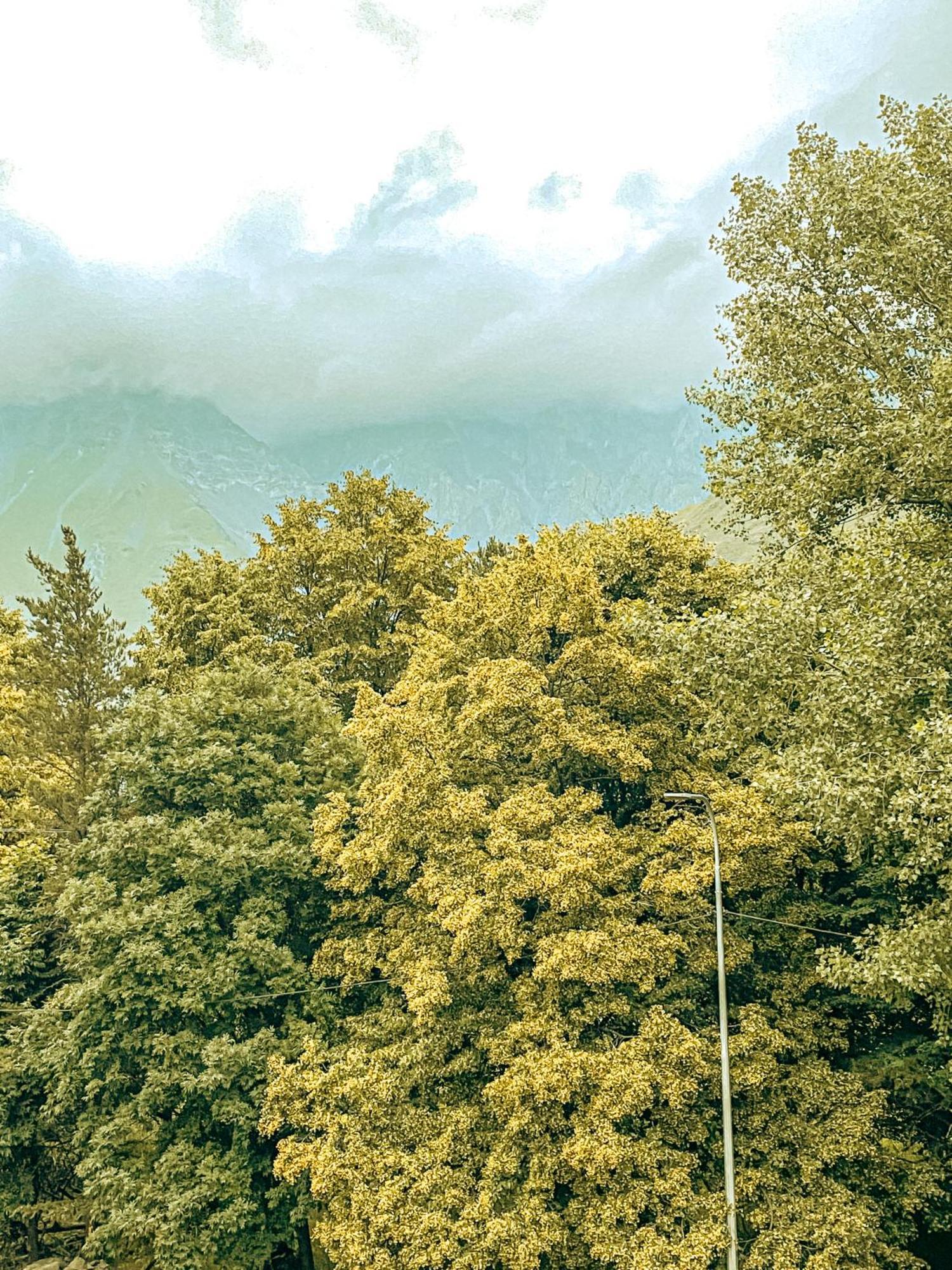 Hotel Gold Kazbegi 외부 사진